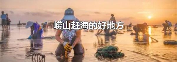 崂山赶海的好地方