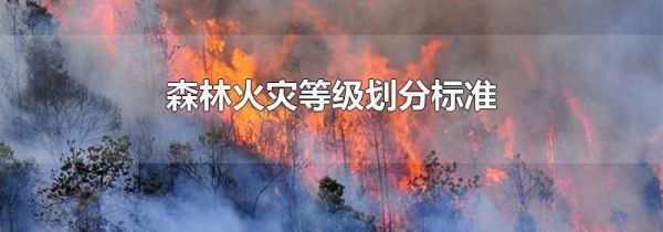 森林火灾等级划分标准