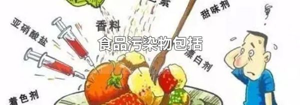 食品污染物包括