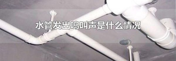 水管发出鸣叫声是什么情况