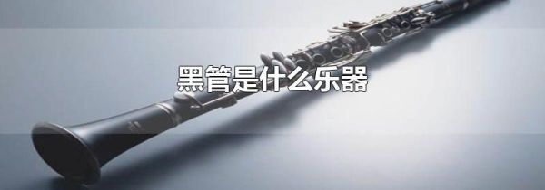 黑管是什么乐器