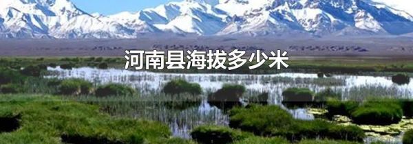 河南县海拔多少米