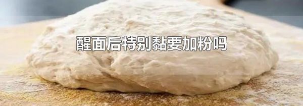 醒面后特别黏要加粉吗