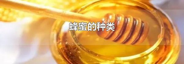 蜂蜜的种类
