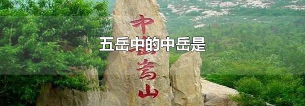 五岳中的中岳是