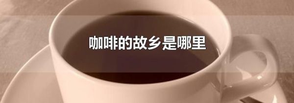 咖啡的故乡是哪里