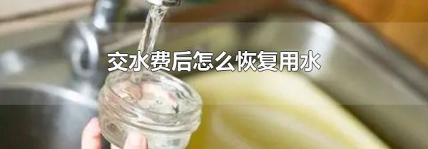 交水费后怎么恢复用水