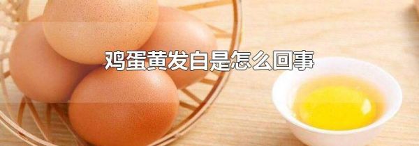 鸡蛋黄发白是怎么回事