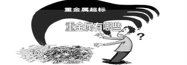 重金属有哪些