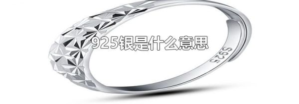 925银是什么意思