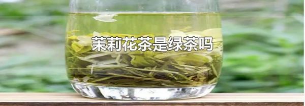 茉莉花茶是绿茶吗