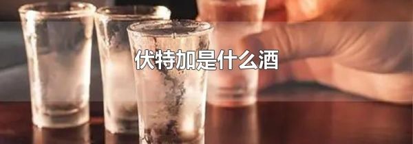 伏特加是什么酒