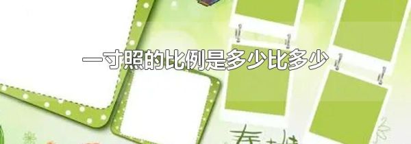 一寸照的比例是多少比多少