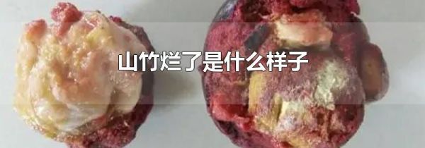 山竹烂了是什么样子