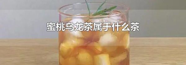 蜜桃乌龙茶属于什么茶