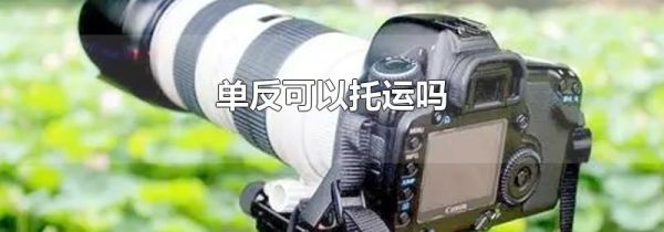 单反可以托运吗