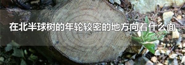 在北半球树的年轮较密的地方向着什么面