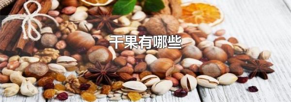 干果有哪些