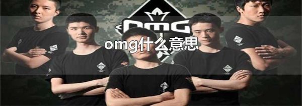 omg什么意思
