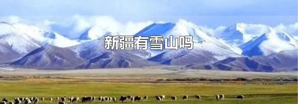 新疆有雪山吗