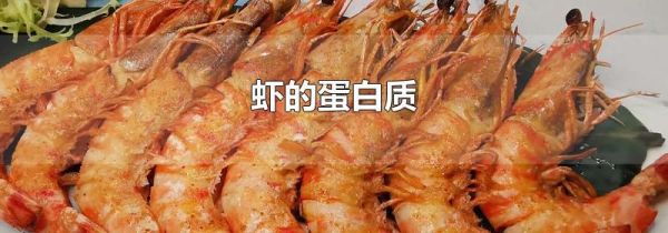虾的蛋白质