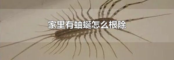 家里有蚰蜒怎么根除