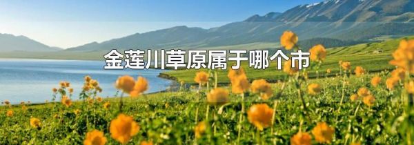 金莲川草原属于哪个市