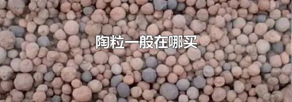 陶粒一般在哪买