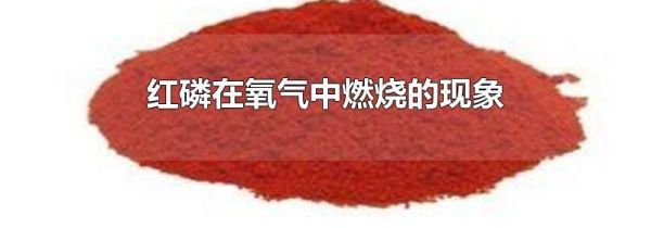 红磷在氧气中燃烧的现象