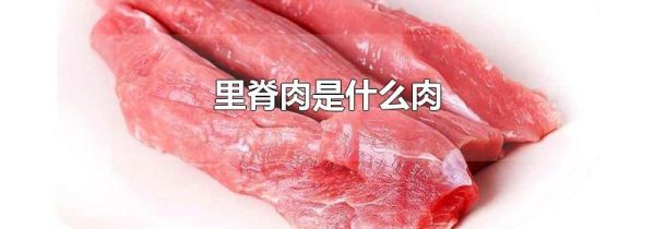 里脊肉是什么肉