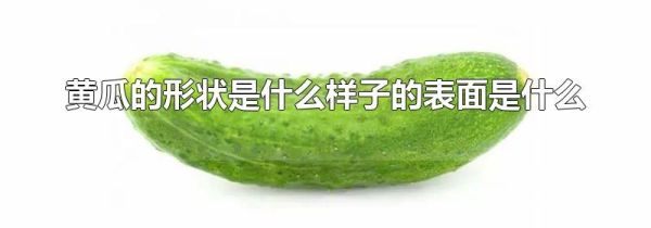 黄瓜的形状是什么样子的表面是什么