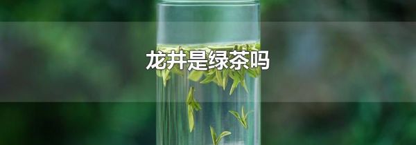 龙井是绿茶吗