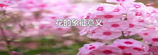 花的象征意义