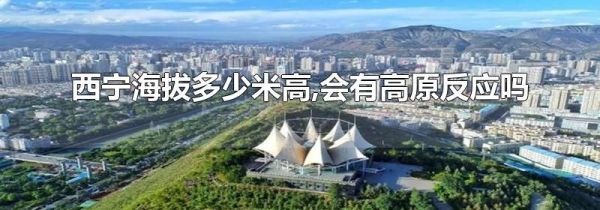 西宁海拔多少米高,会有高原反应吗