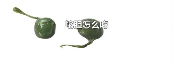 蛇胆怎么吃