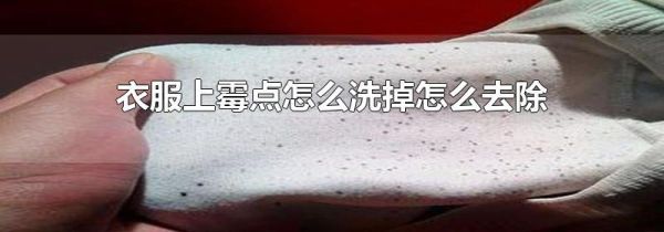 衣服上霉点怎么洗掉怎么去除