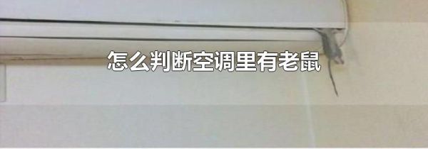 怎么判断空调里有老鼠