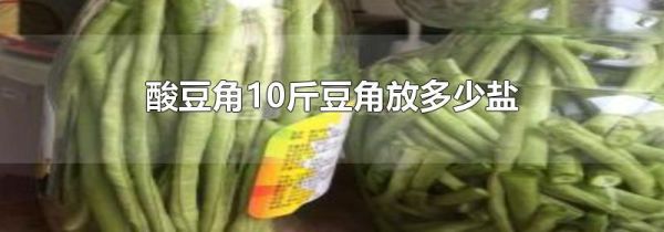 酸豆角10斤豆角放多少盐