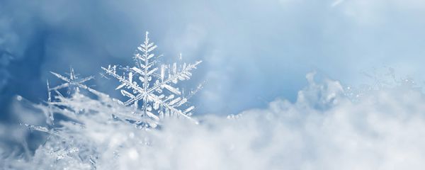 雪是怎么形成的 雪是如何形成的