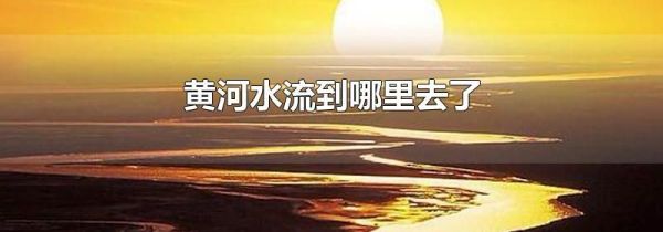 黄河水流到哪里去了