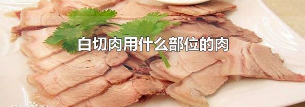 白切肉用什么部位的肉