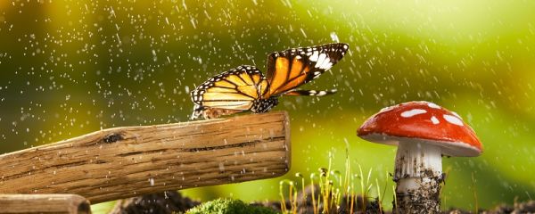 人工降雨对自然的危害 人工降雨的条件