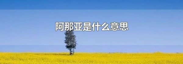 阿那亚是什么意思