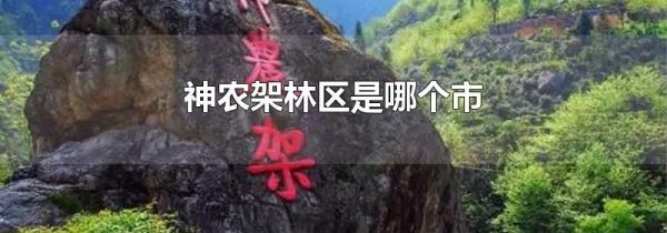 神农架林区是哪个市