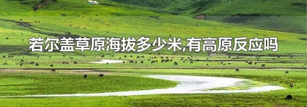 若尔盖草原海拔多少米,有高原反应吗