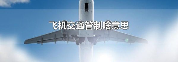 飞机交通管制啥意思