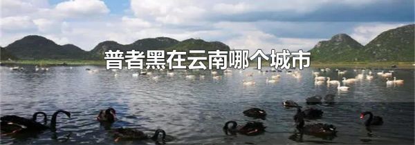 普者黑在云南哪个城市