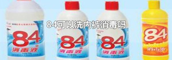 84可以洗内裤消毒吗