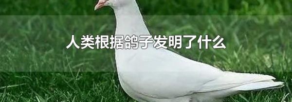 人类根据鸽子发明了什么