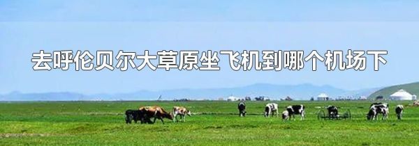 去呼伦贝尔大草原坐飞机到哪个机场下